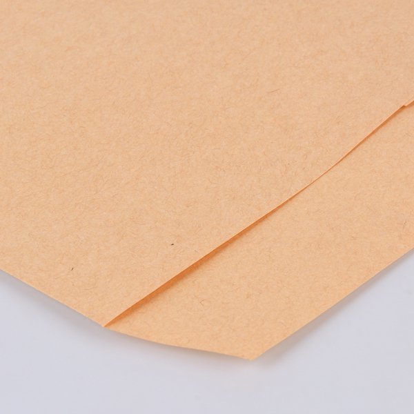 大9K中式牛皮紙單色信封