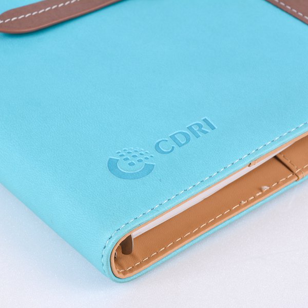 25K藍綠拼接工商日誌