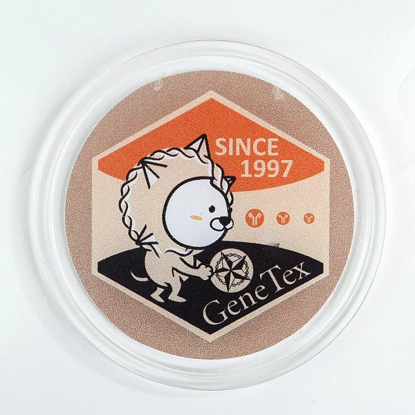 圓形萬能魔術貼