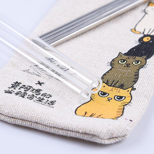 304耐熱玻璃吸管組-