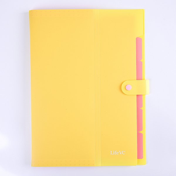 6格風琴袋公文袋