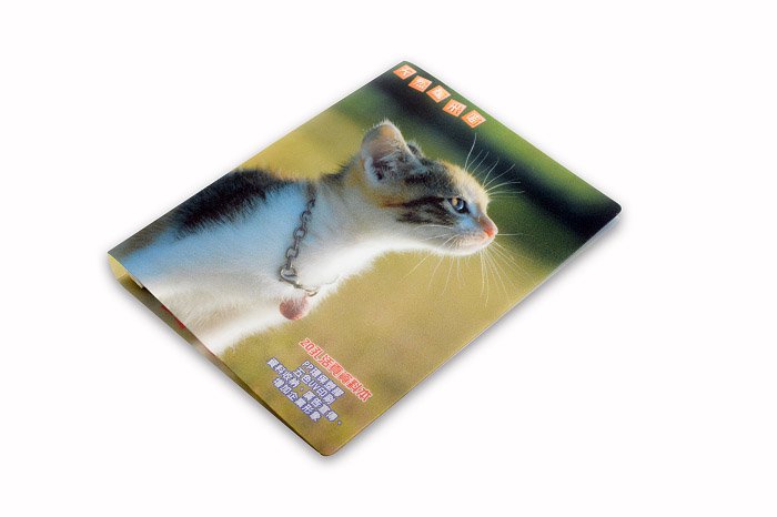 活頁夾_檔案夾_資料夾