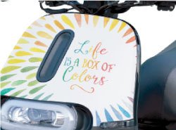 GOGORO電動機車彩繪彩貼包膜套組專屬車貼