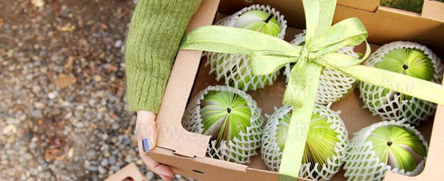 西洋梨造型便條紙