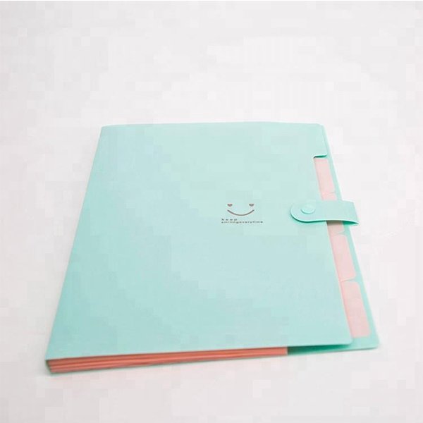 5格PVC文件夾-鈕扣撞色資料夾