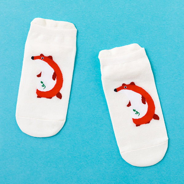 女款休閒隱形襪-針織棉襪