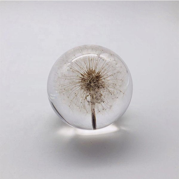 蒲公英水晶紙鎮