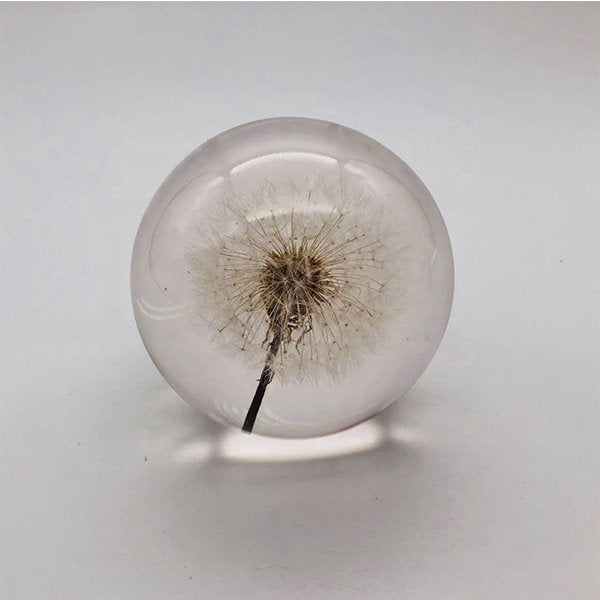 蒲公英水晶紙鎮