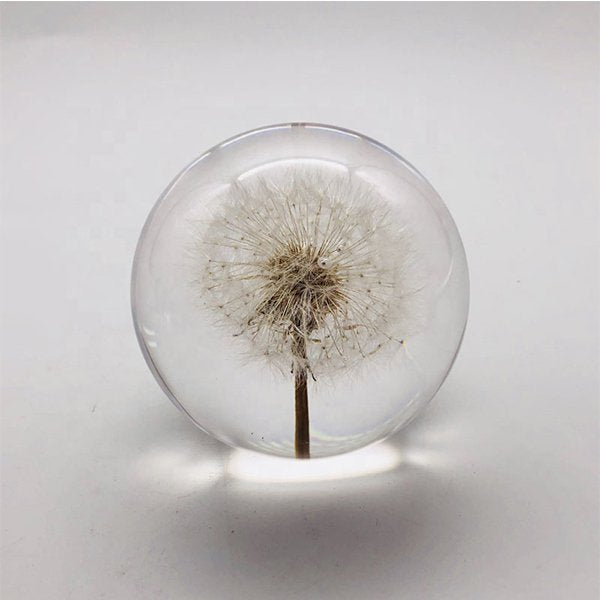 蒲公英水晶紙鎮