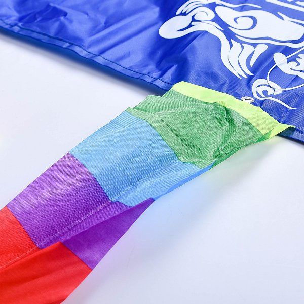 65*90cm三角造型聚酯纖維彩印風箏