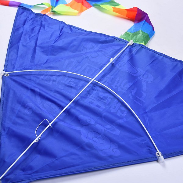 65*90cm三角造型聚酯纖維彩印風箏