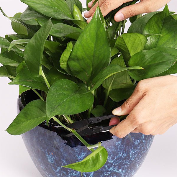 便攜式小巧不銹鋼裁縫刀