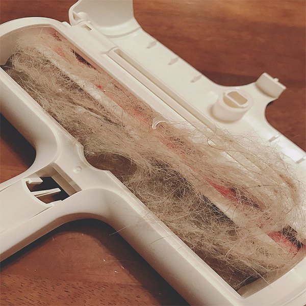 可重複使用除毛滾輪