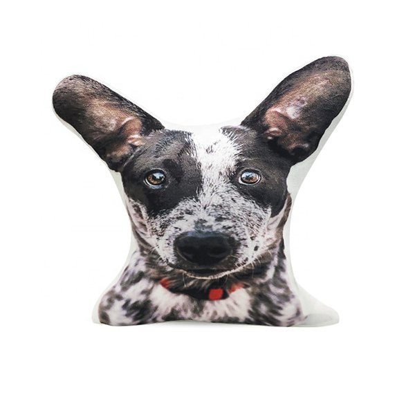 PP棉造型抱枕-單面彩印