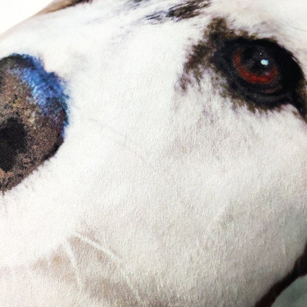 PP棉造型抱枕-單面彩印