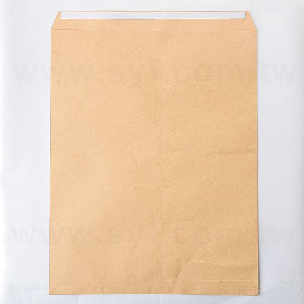 大3K中式80P牛皮紙單面雙色信封