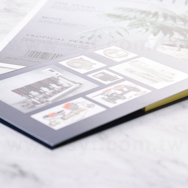 二合一五色標便利貼