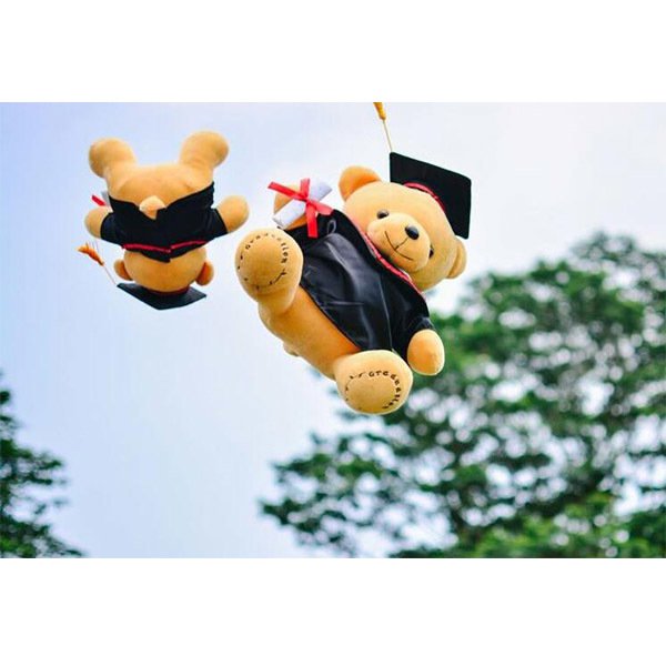 學士袍畢業泰迪熊