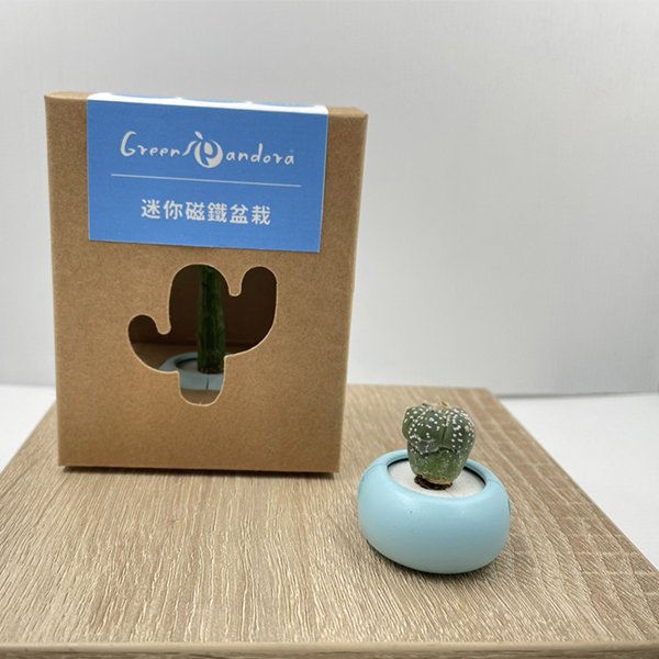 台灣文創迷你磁鐵多肉盆栽