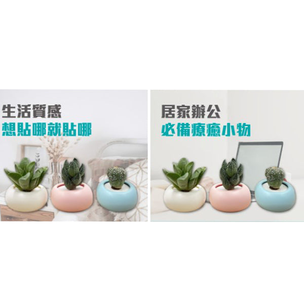 台灣文創迷你磁鐵多肉盆栽