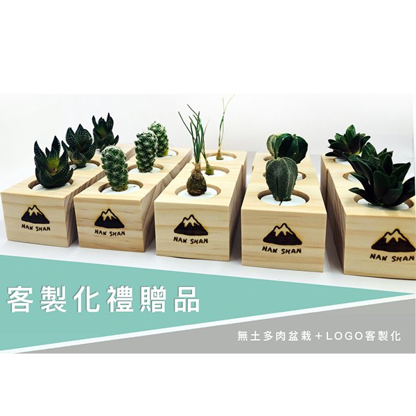 台灣文創無土多肉盆栽