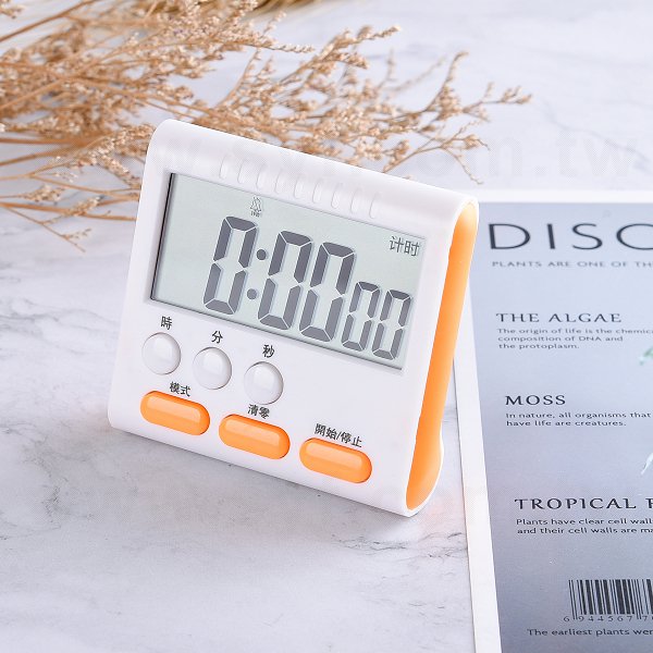 大螢幕計時器