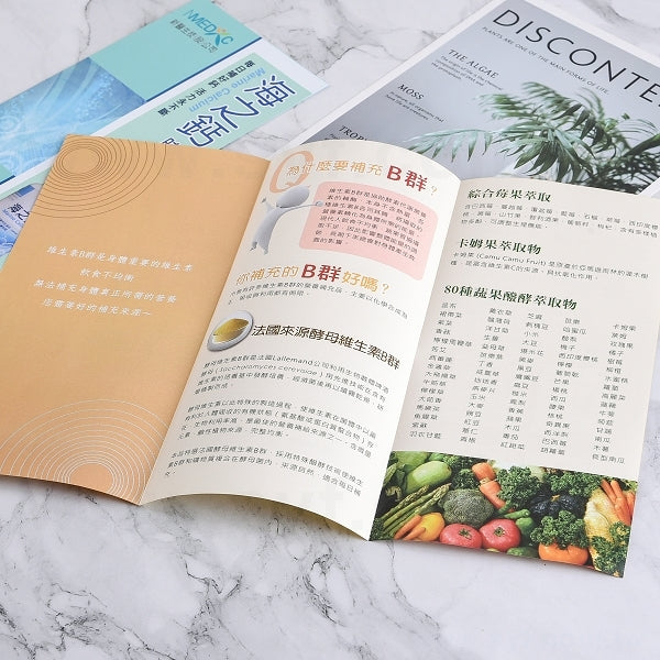 A4雙銅摺紙DM100g