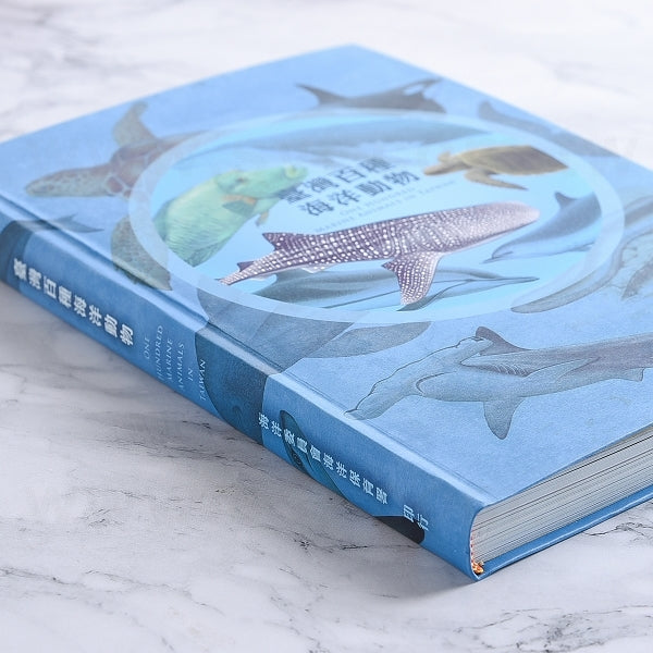 圓背軟皮精裝書