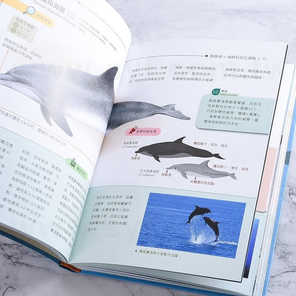 圓背軟皮精裝書