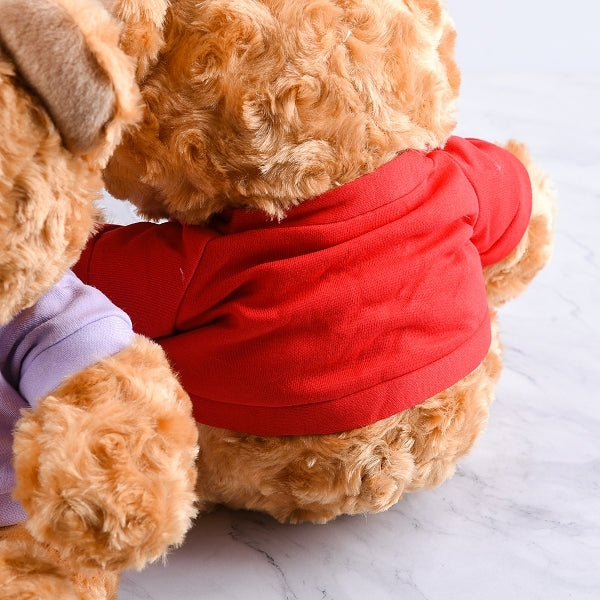 25cm客製小熊玩偶