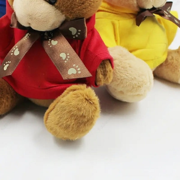 16cm多彩腳印絲帶毛絨小熊