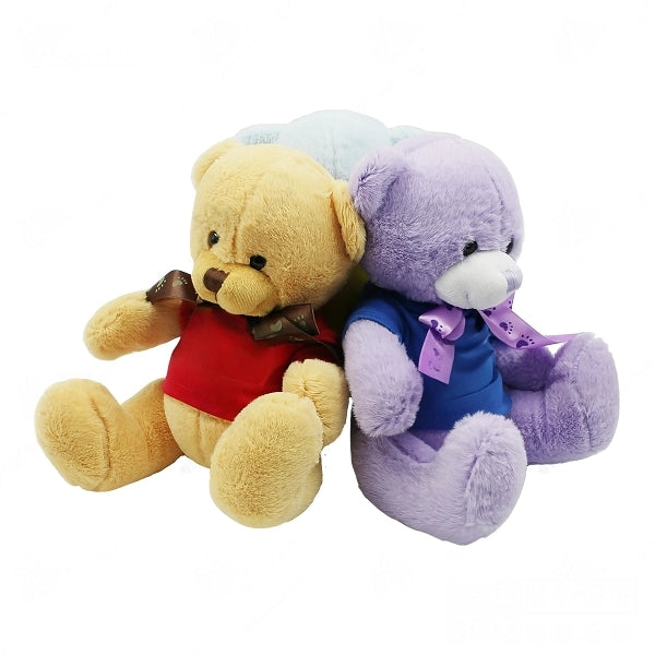 20cm多彩腳印絲帶毛絨小熊