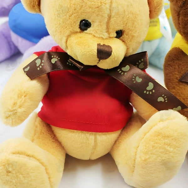 20cm多彩腳印絲帶毛絨小熊