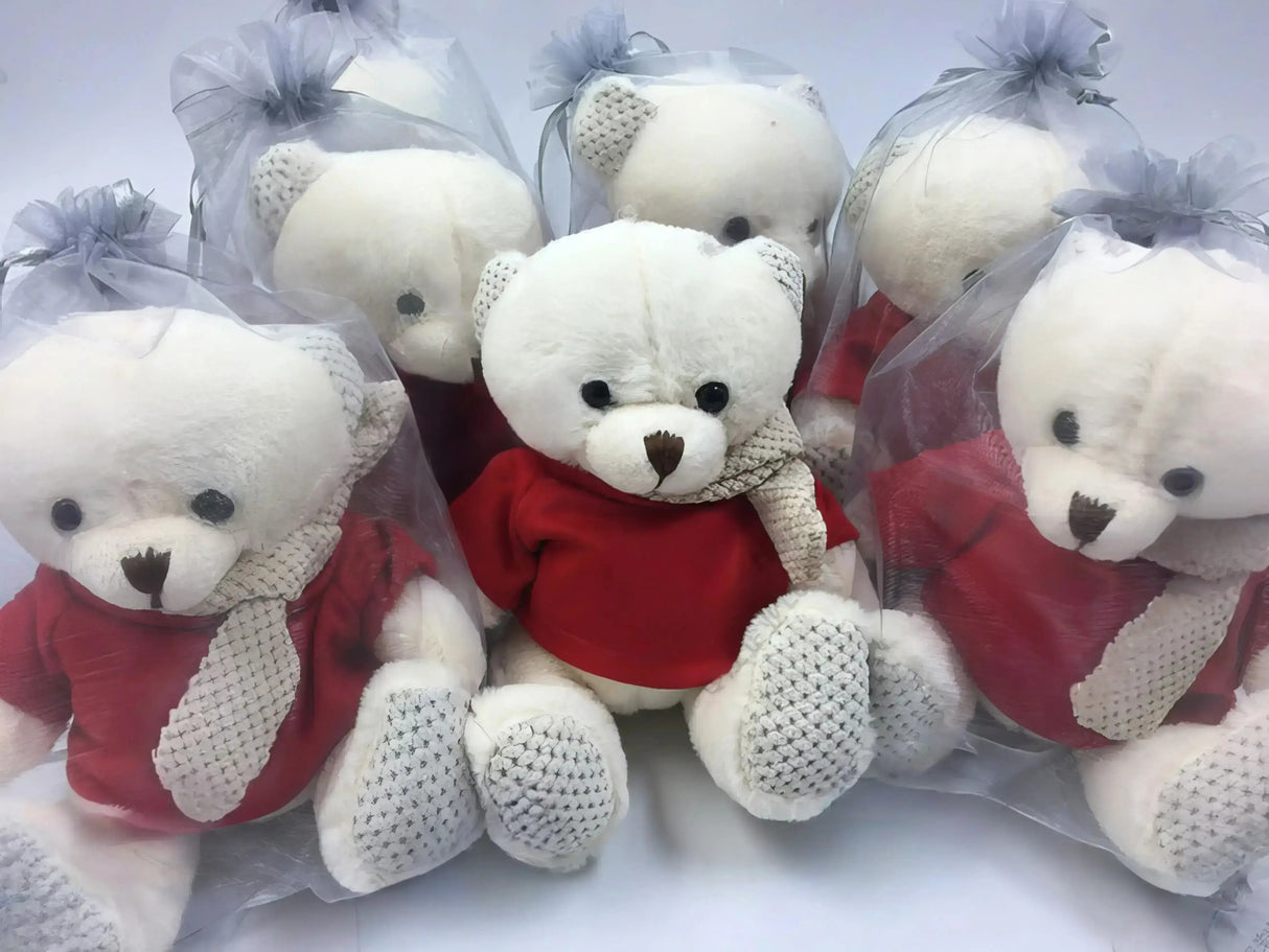 【少量客製】16cm多彩針織圍巾熊毛絨玩具