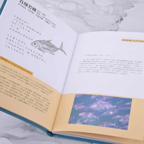 A5軟皮精裝書籍印刷