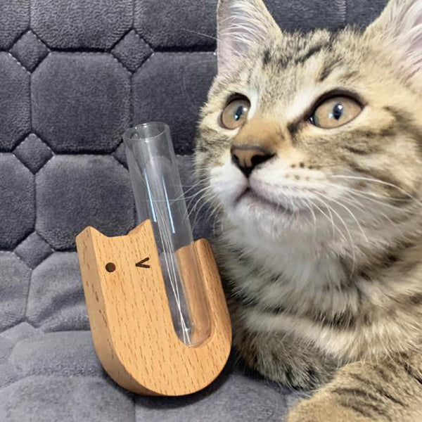 貓咪鬍鬚收集器冰箱貼