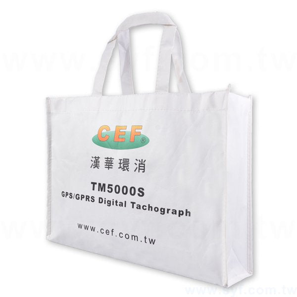 霧膜立體不織布袋-彩色網版印刷-環保不織布材質