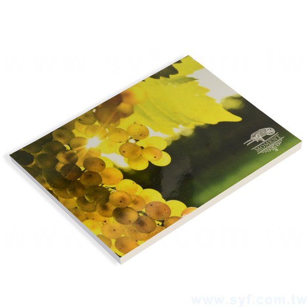 140x211mm彩色便條紙/封面上光