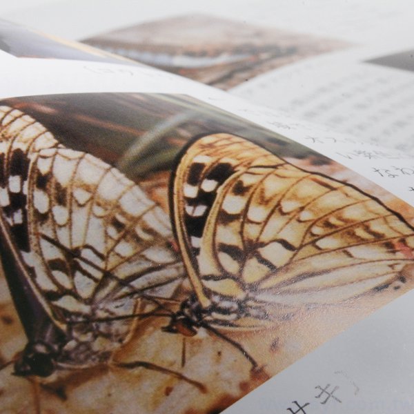 書籍-印刷-膠裝-出版刊物類-ISBN