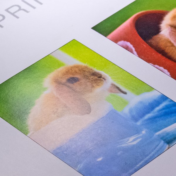 2K銅西海報200g/250g/300g/350g-彩色印刷-銅西卡宣傳海報輸出