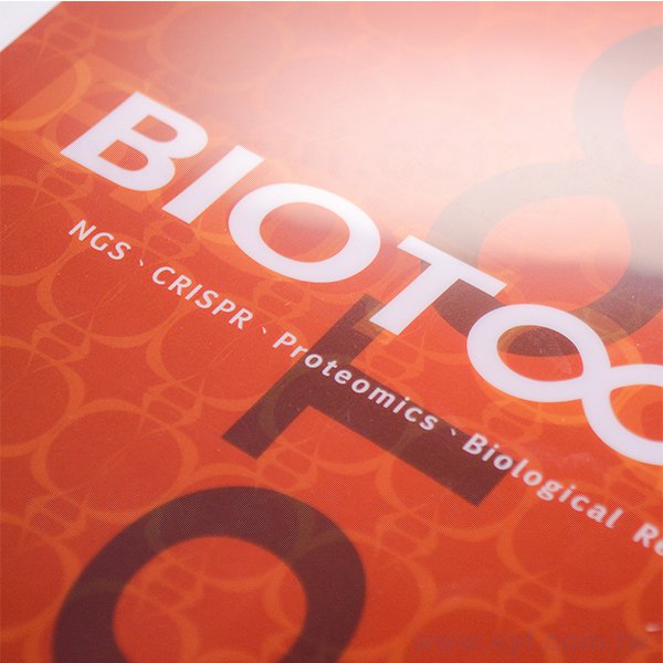 A4三層全白墨L夾