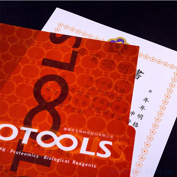 A4三層全白墨L夾