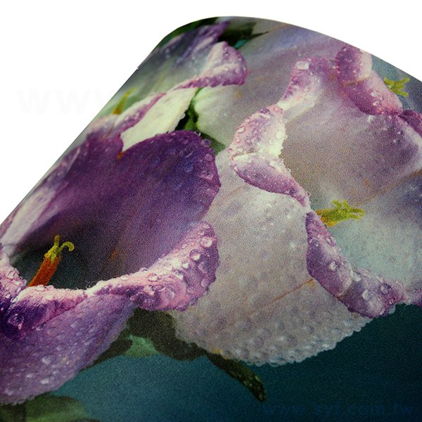 油性不捲曲相紙720dpi表面亮膜/霧膜-彩色印刷-油性相紙輸出