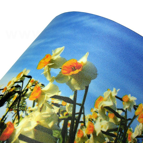 乳膠高遮蔽PVC背膠遮蔽性高-彩色印刷-遮蔽原有的雜亂背景