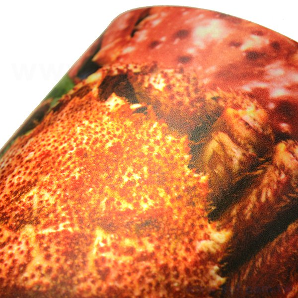 乳膠燈片無背膠-彩色印刷-適用背面打光-如燈箱、櫥窗、專櫃等