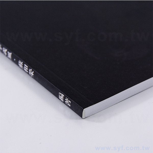 250P銅西吉他訓練手冊