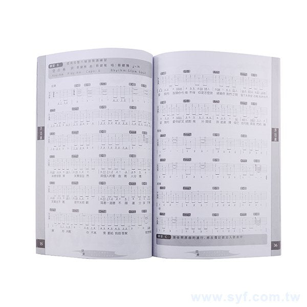 250P銅西吉他訓練手冊