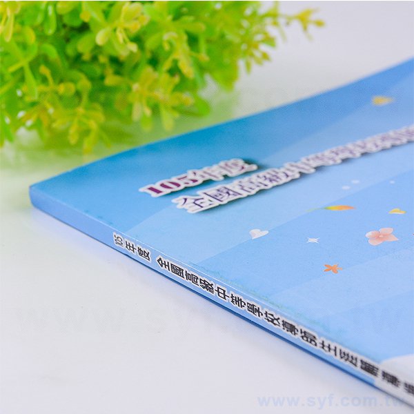 200P銅西生涯輔導手冊