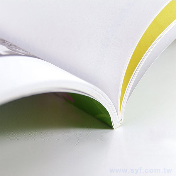 200P銅西生涯輔導手冊