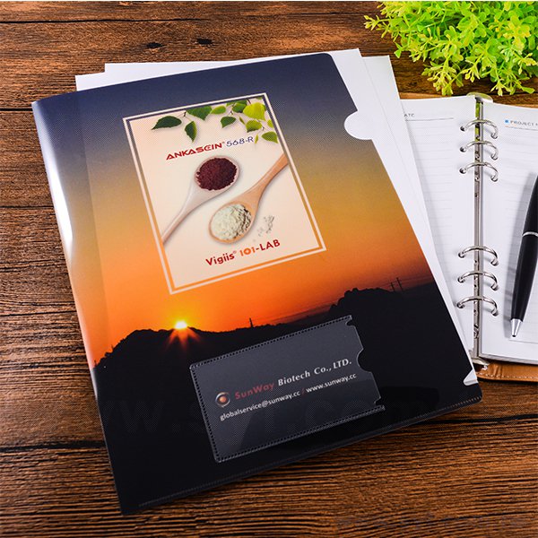 A4單層全白墨L夾